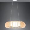 TRIO hanglamp Monte